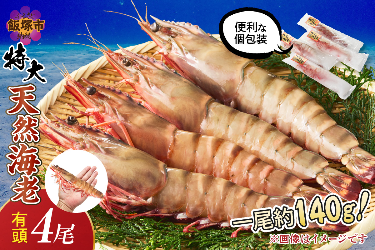 【C-136】特大 天然海老(有頭･4尾)