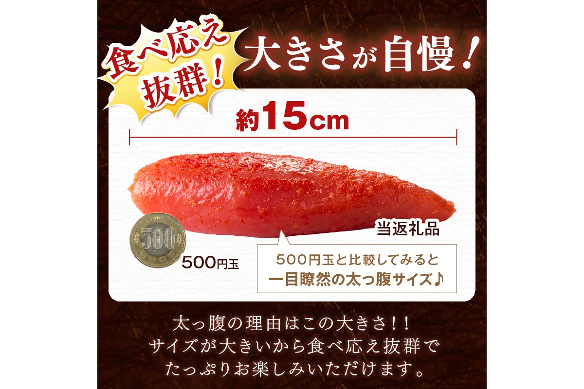 縲辱8-002縲代°縺ュ縺オ縺乗主、ェ蟄舌12繧ォ譛亥ョ壽悄萓ソ縲