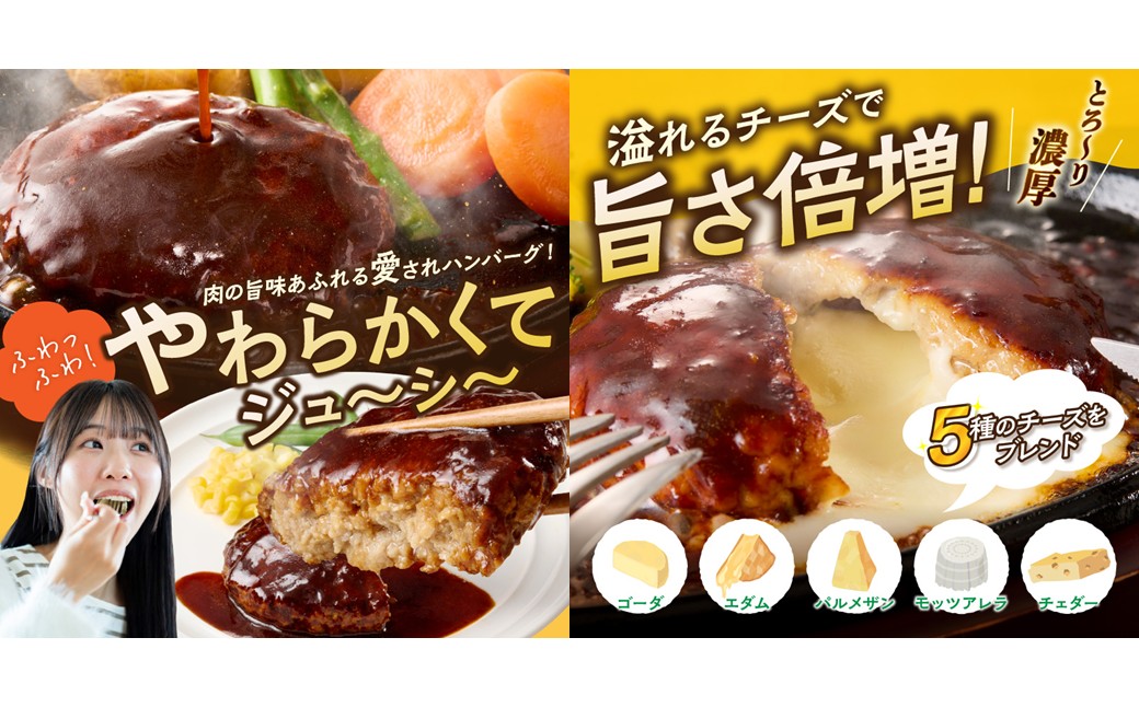 【K03-001】かねふく辛子明太子&デミソースのハンバーグ2種セット【毎月定期便(計12回発送)】