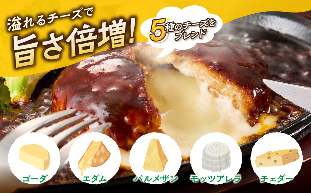 【J8-004】飯塚市王道ハンバーグセットA【12カ月定期便】
