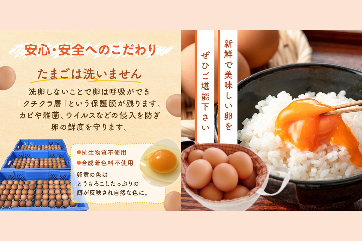 【C5-031】テトラエッグ(40個/月)【3ヵ月定期便】