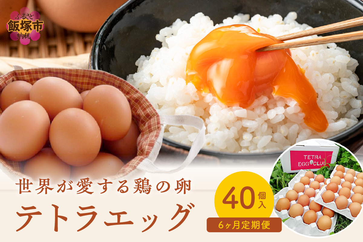 【F8-004】テトラエッグ(40個/月)【6ヵ月定期便】