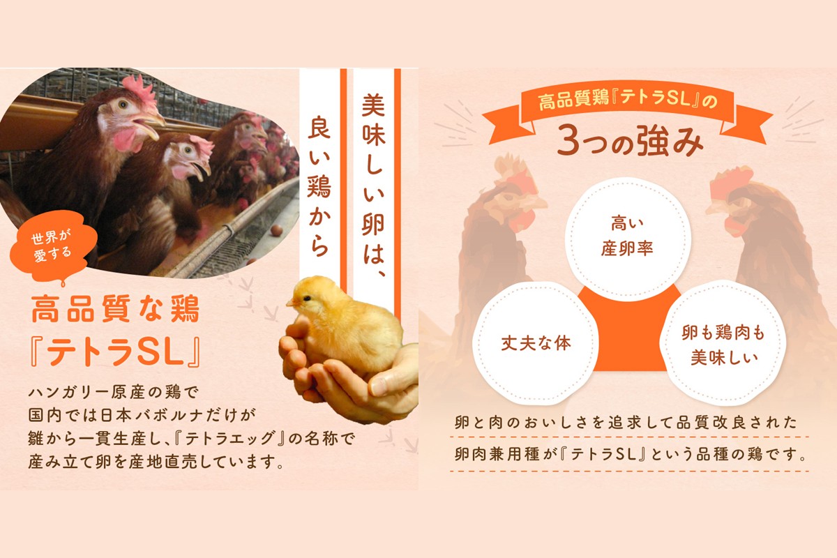 ãJ11-001ãããã©ãšãã°ç¹éžåµãããã«ãã®å®ç³ãïŒ30å/æïŒã12ã«æå®æäŸ¿ã