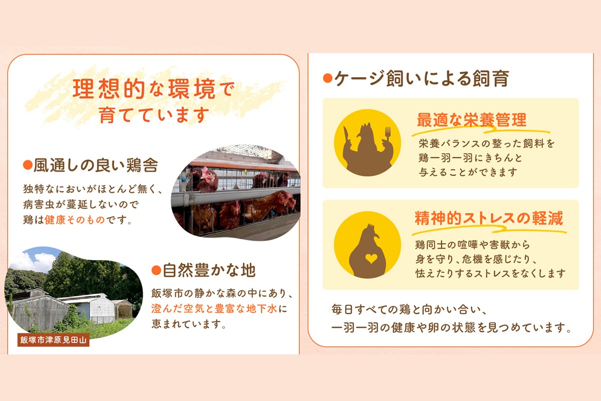 ãJ11-001ãããã©ãšãã°ç¹éžåµãããã«ãã®å®ç³ãïŒ30å/æïŒã12ã«æå®æäŸ¿ã