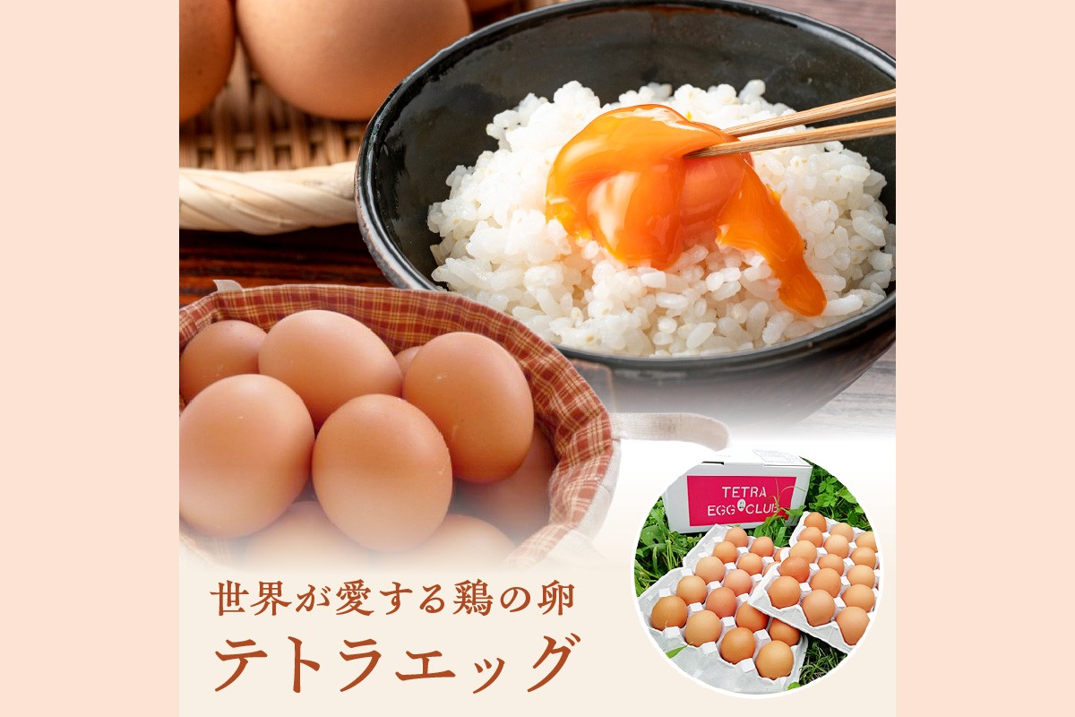 【F8-004】テトラエッグ(40個/月)【6ヵ月定期便】