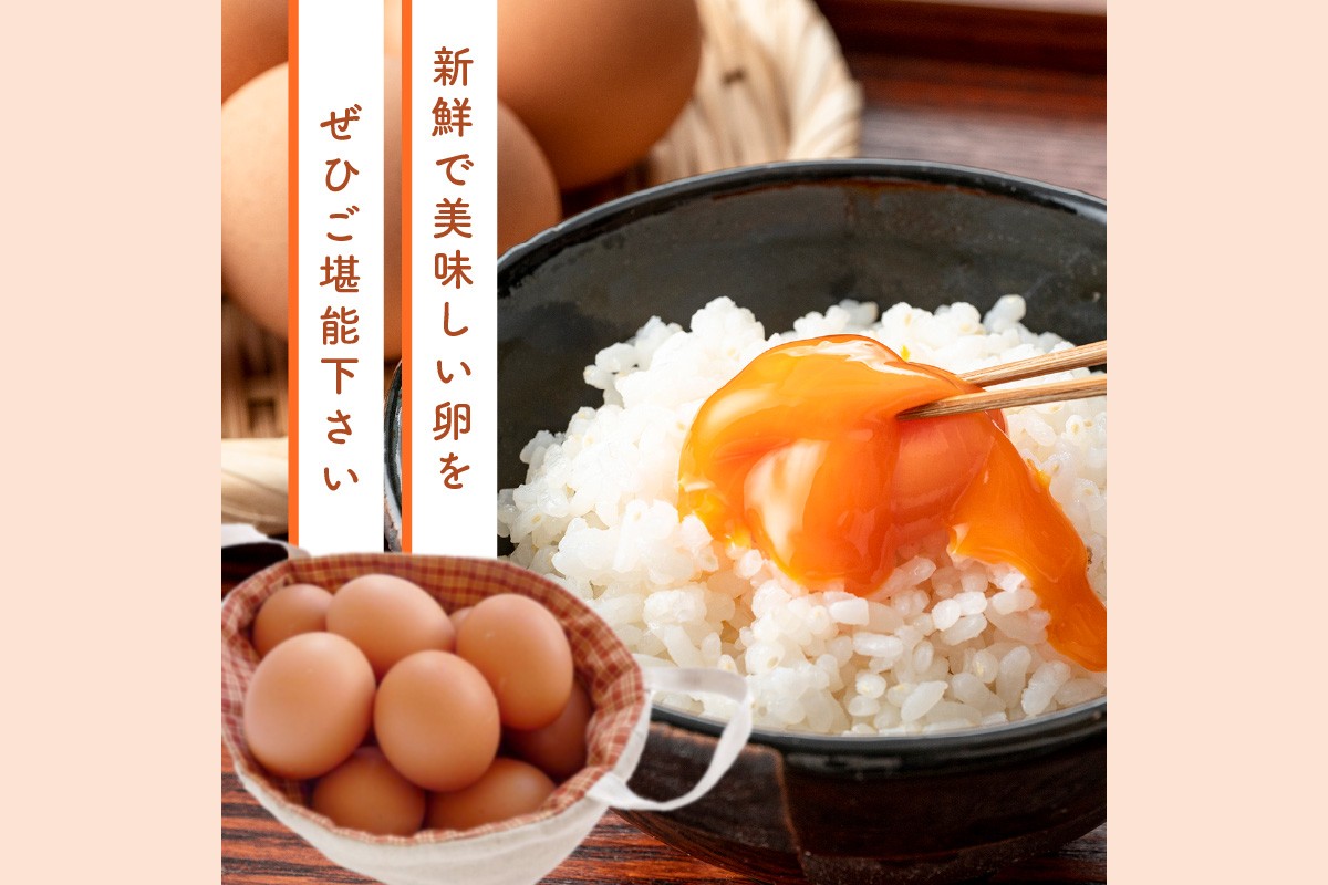 【F8-004】テトラエッグ(40個/月)【6ヵ月定期便】