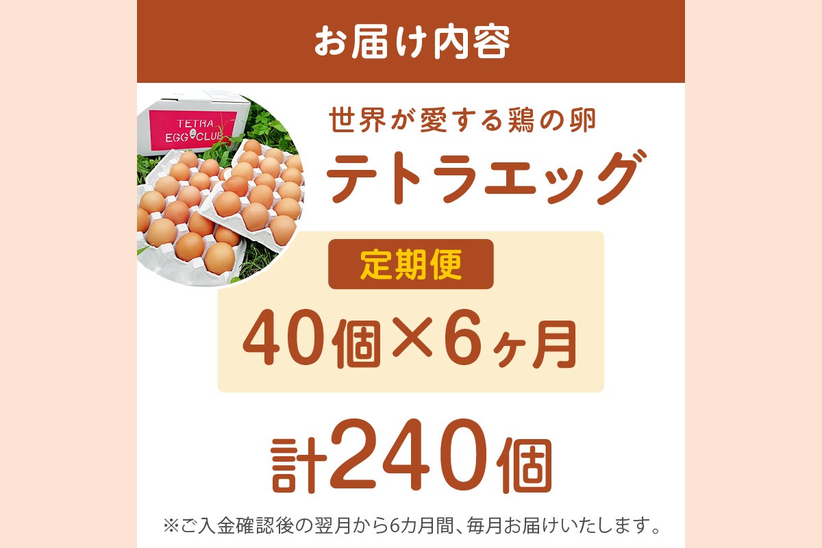 【F8-004】テトラエッグ(40個/月)【6ヵ月定期便】