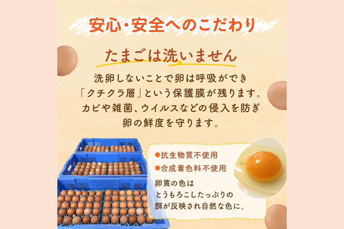 【F8-004】テトラエッグ(40個/月)【6ヵ月定期便】