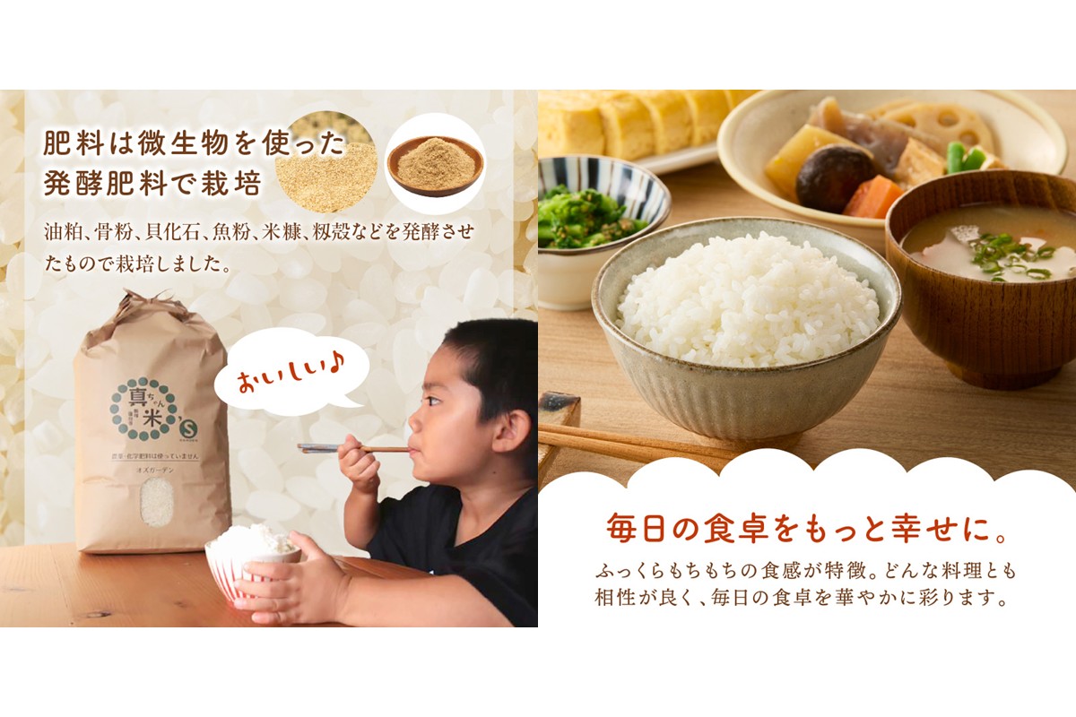 縲職4-008縲代蝉サ、蜥7蟷エ逕」縲題セイ阮ャ繝サ蛹門ュヲ閧・譁吩ク堺スソ逕ィ 逵溘■繧繧鍋アウ 15kg