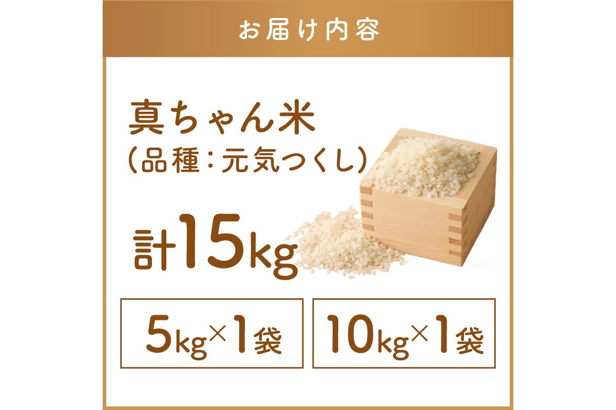 縲職4-008縲代蝉サ、蜥7蟷エ逕」縲題セイ阮ャ繝サ蛹門ュヲ閧・譁吩ク堺スソ逕ィ 逵溘■繧繧鍋アウ 15kg