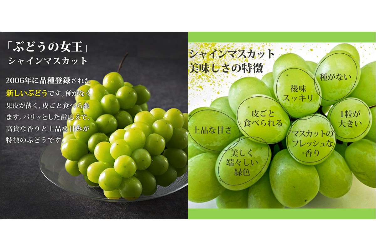 ãB6-028ãã·ã£ã€ã³ãã¹ã«ãã4-6æ¿(çŽ2kg)ïŒ2026幎8æäžæ¬ããçºééå§åå
è¡äºçŽïŒ