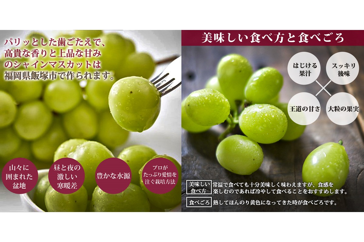 ãB6-028ãã·ã£ã€ã³ãã¹ã«ãã4-6æ¿(çŽ2kg)ïŒ2026幎8æäžæ¬ããçºééå§åå
è¡äºçŽïŒ