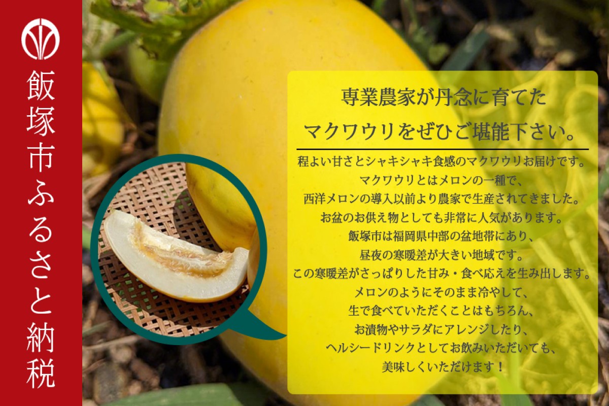 【A6-044】農家直送 程よい甘さのマクワウリ約3.5kg (8-12個)＜2026年7月下旬から発送開始分先行予約＞