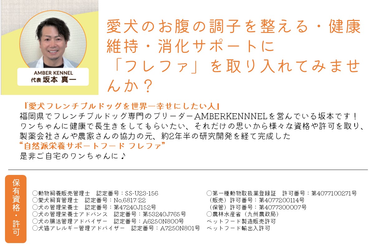 縲燭7-018縲詮refa(繝輔Ξ繝輔ぃ) 3轤ケ繧サ繝繝