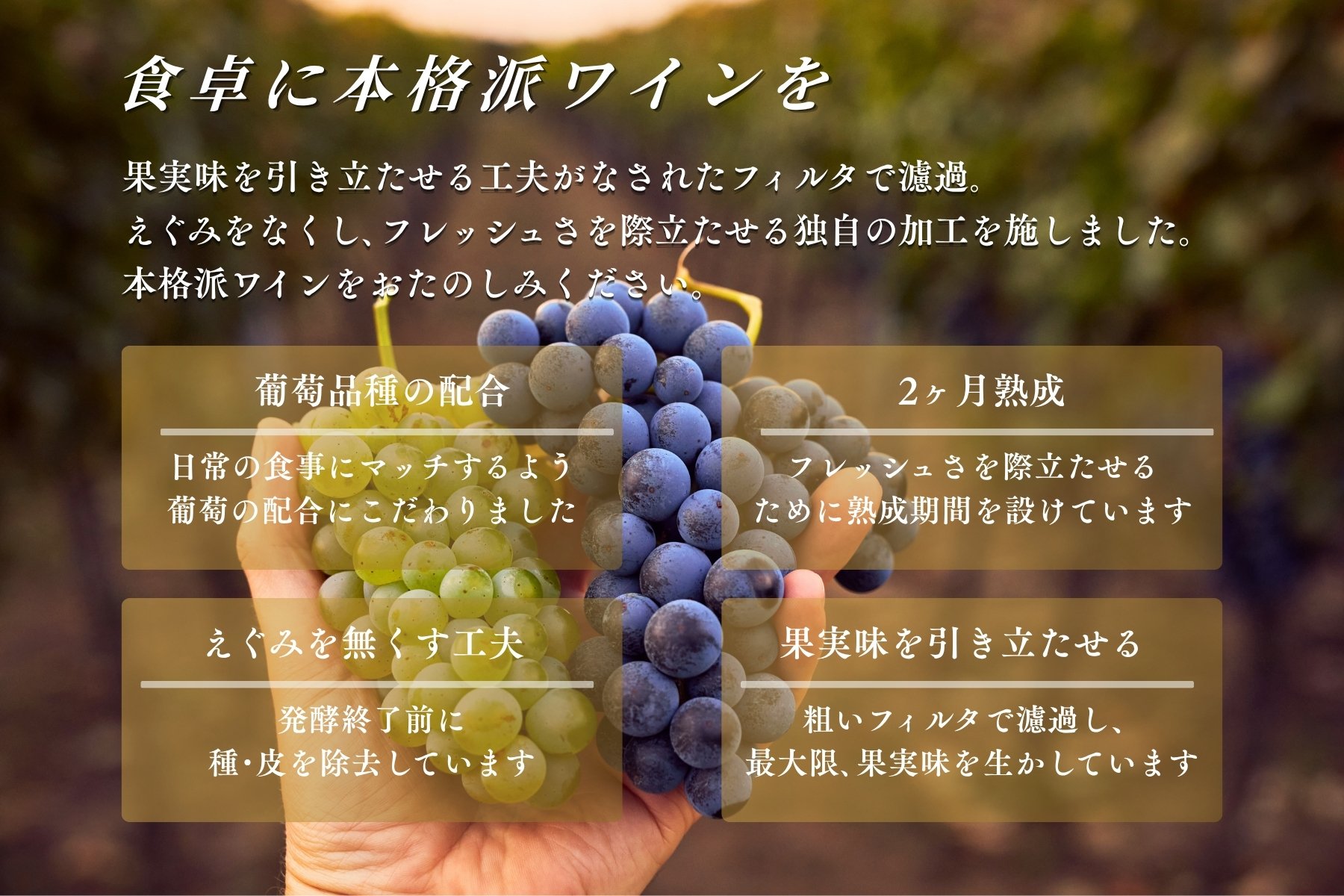 【C8-024】W104 伊・仏・独 6本セット