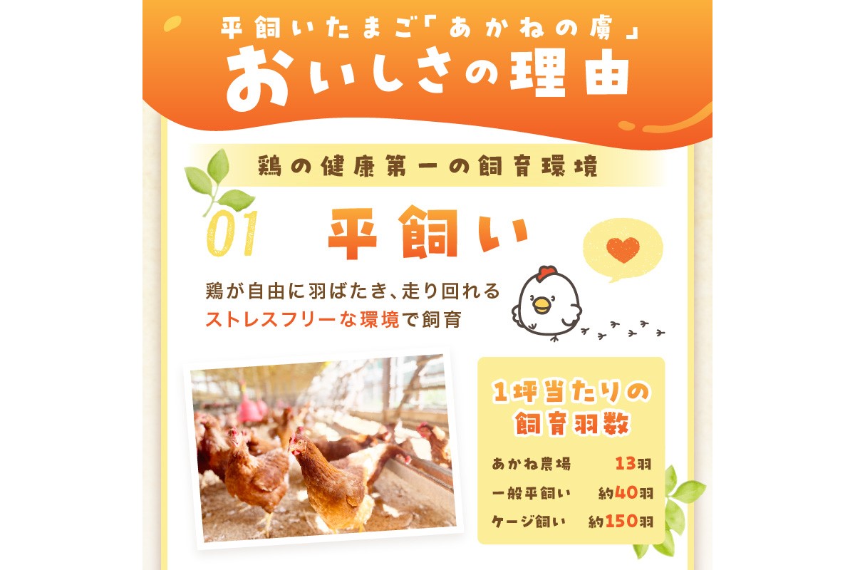 【L84-001】〈平飼い卵〉あかねの虜（40個）【全24回お届け】