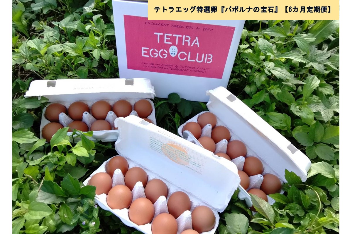 【E7-004】テトラエッグ特選卵『バボルナの宝石』（30個/月）【6カ月定期便】