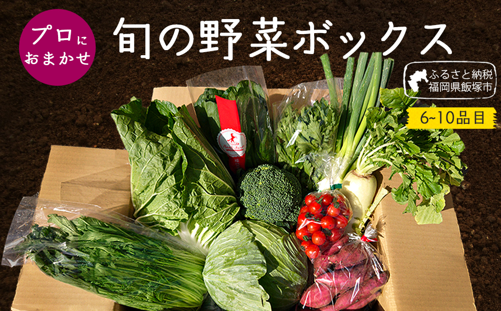 【Z8-027】プロにおまかせ お野菜ボックス6～10種類