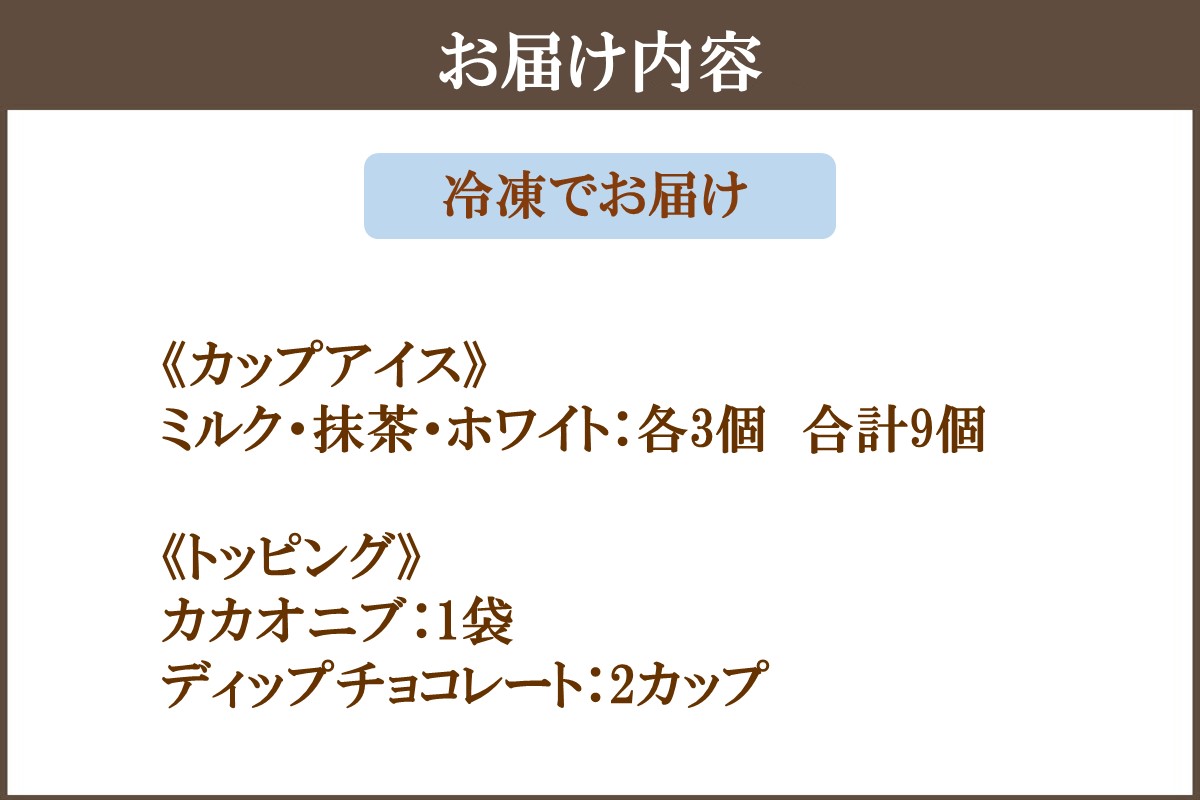 【C4-010】カカオ研究所 アイスチョコレートセット(9個入り)