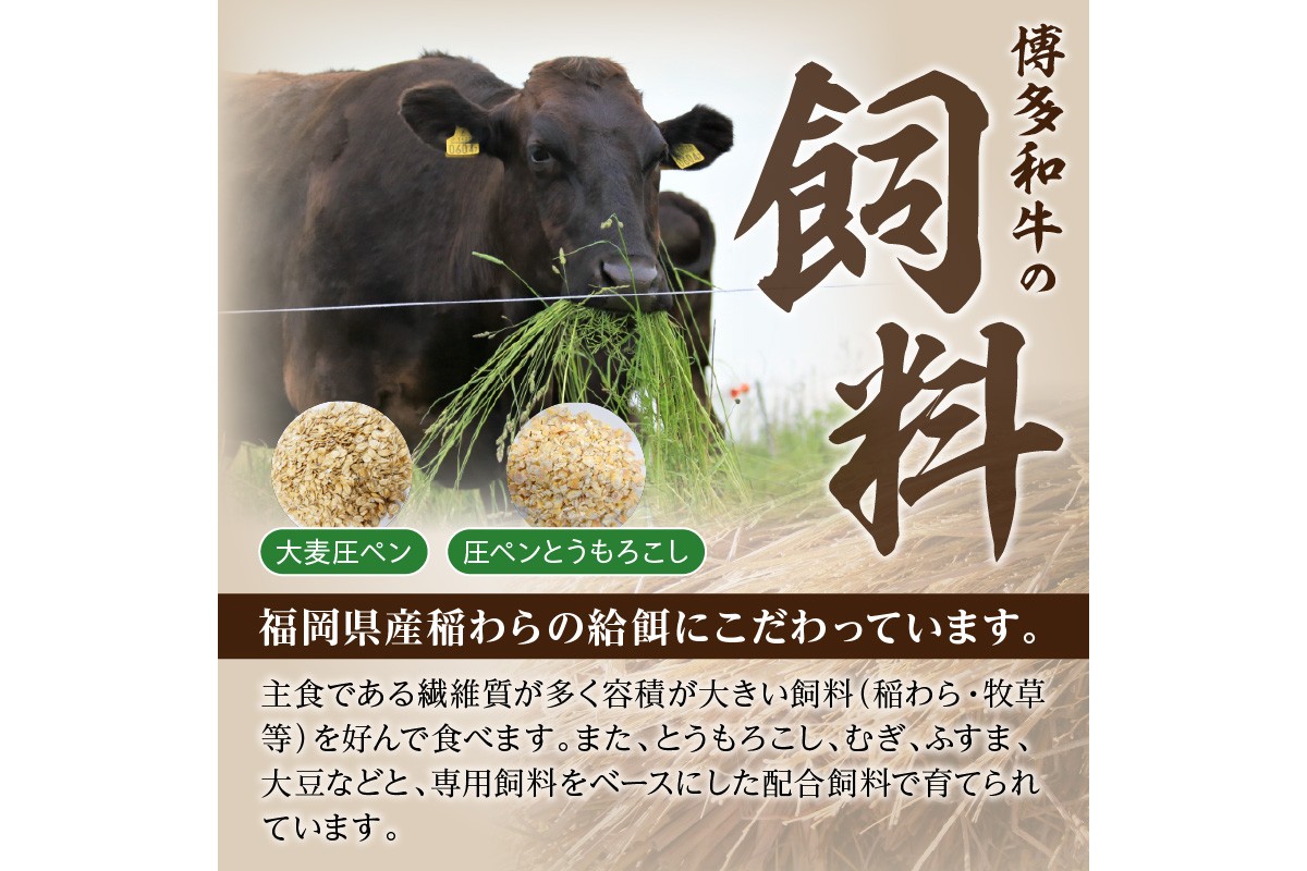 【A7-048】博多和牛 切り落とし