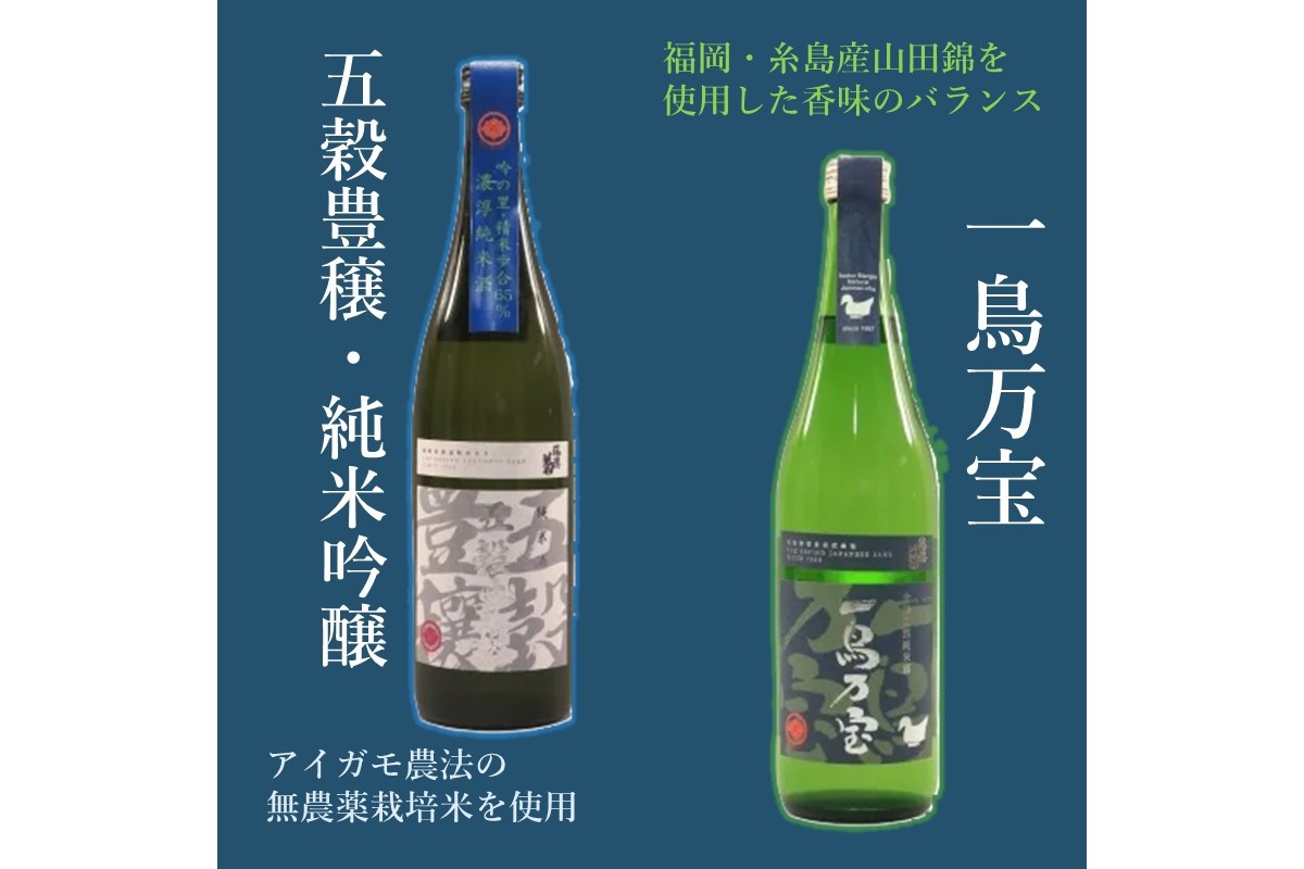 【B3-015】【創業150年】瑞穂菊酒造 純米酒セット