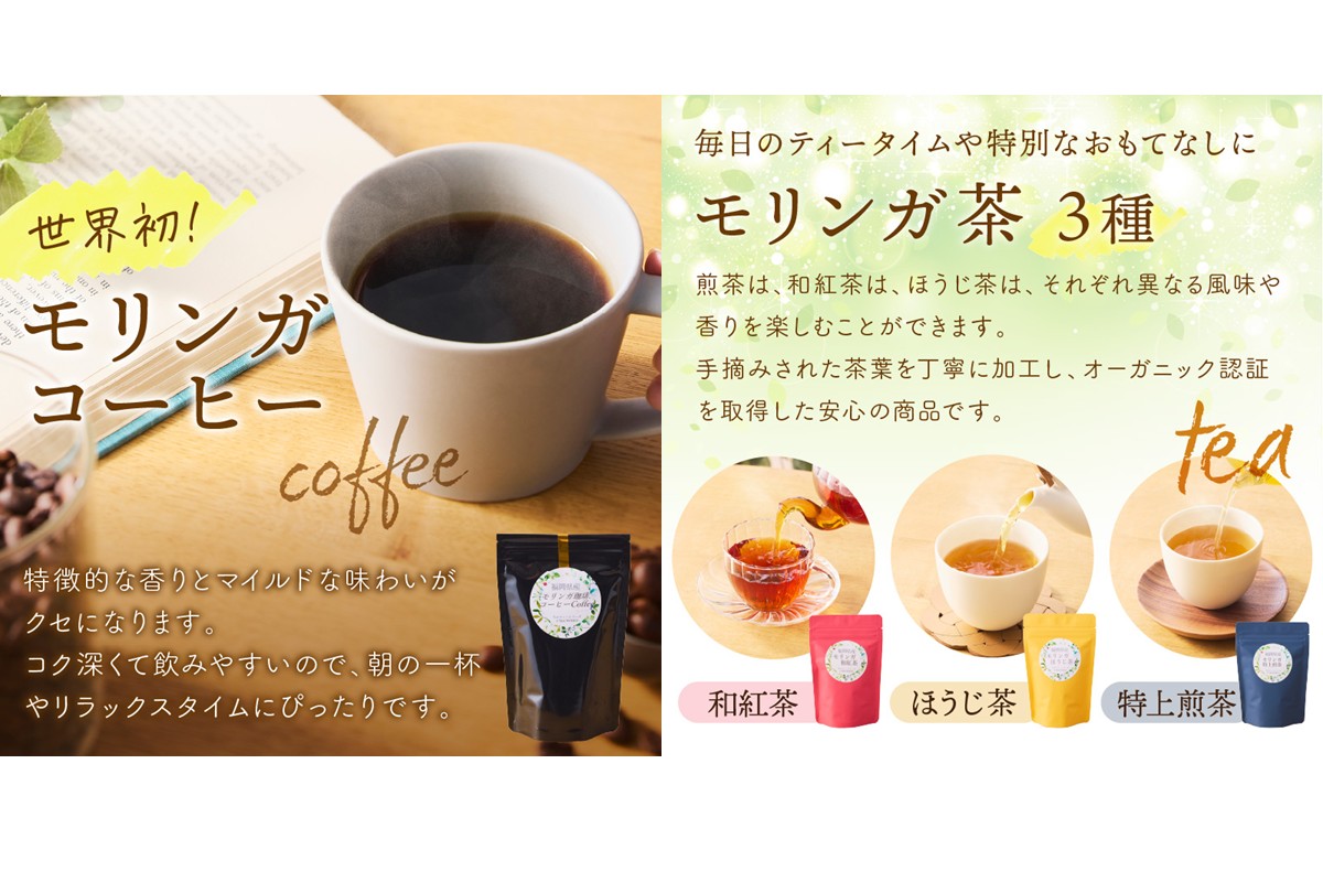 【C-145】モリンガ珈琲・オーガニック和紅茶・ほうじ茶・煎茶・モリンガパウダー