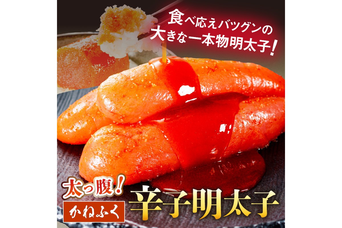 【F8-005】かねふく辛子明太子&デミソースのハンバーグ2種セット【3ヶ月毎定期便(計4回発送)】