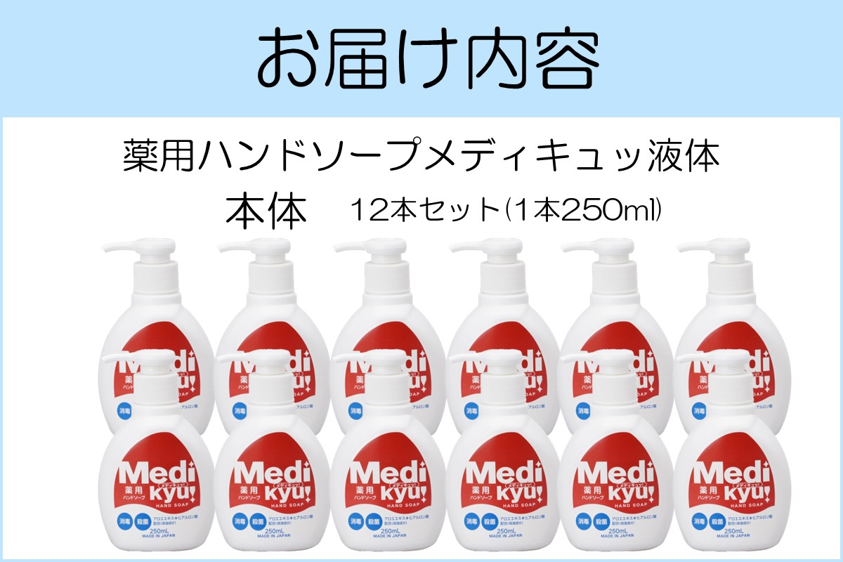 【A-830】薬用ハンドソープ メディキュッ 液体 本体 250ml×12本