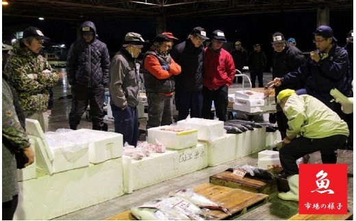 【C-137】魚市場厳選!日本近海産高級辛子明太子（700g）