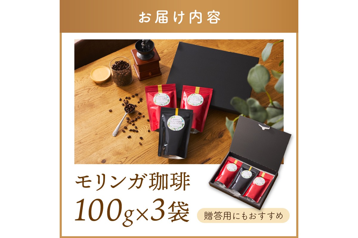 【A5-436】福岡県産モリンガ珈琲