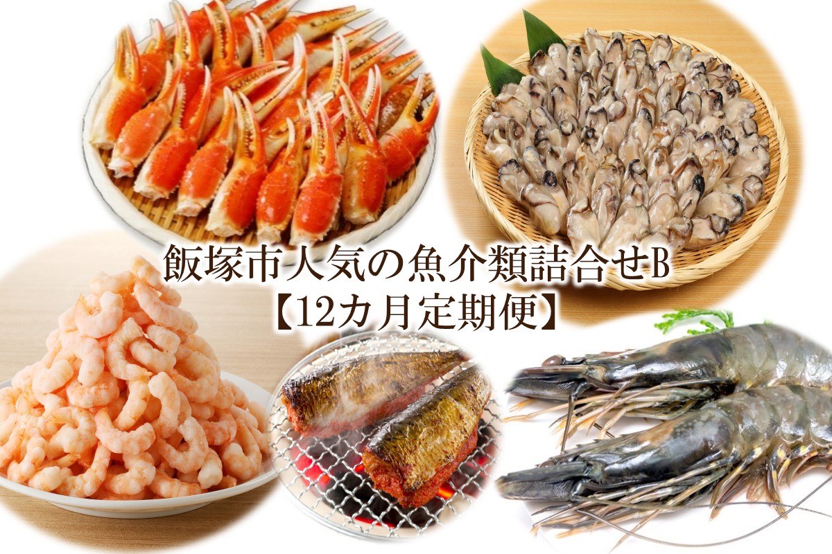 【Q-002】飯塚市人気の魚介類詰合せB【12カ月定期便】