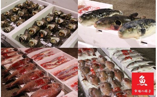 【A5-334】魚市場厳選!日本近海産高級辛子明太子（300g）