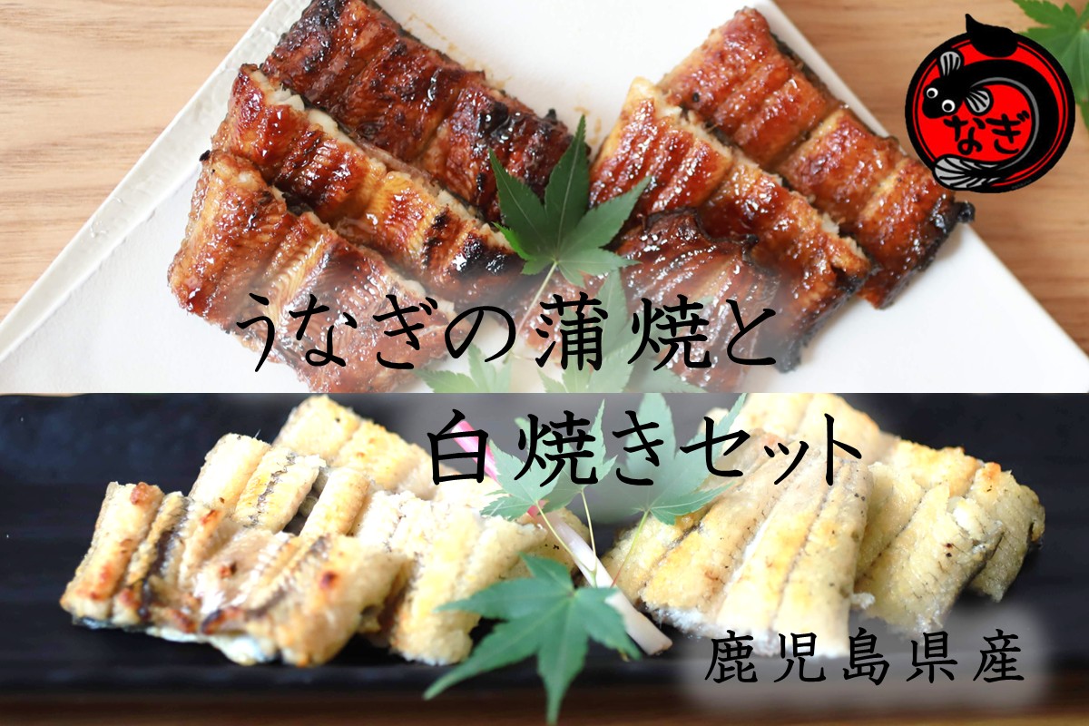 【B7-034】鹿児島産うなぎの蒲焼と白焼きセット 2尾