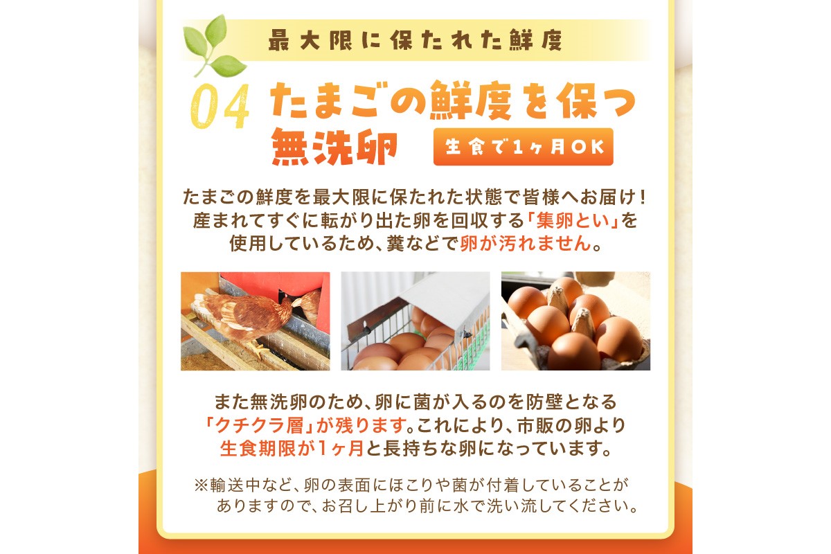 ãH1-004ãã平飌ãåµããããã®èïŒ30å/æïŒã6ã«æå®æäŸ¿ã