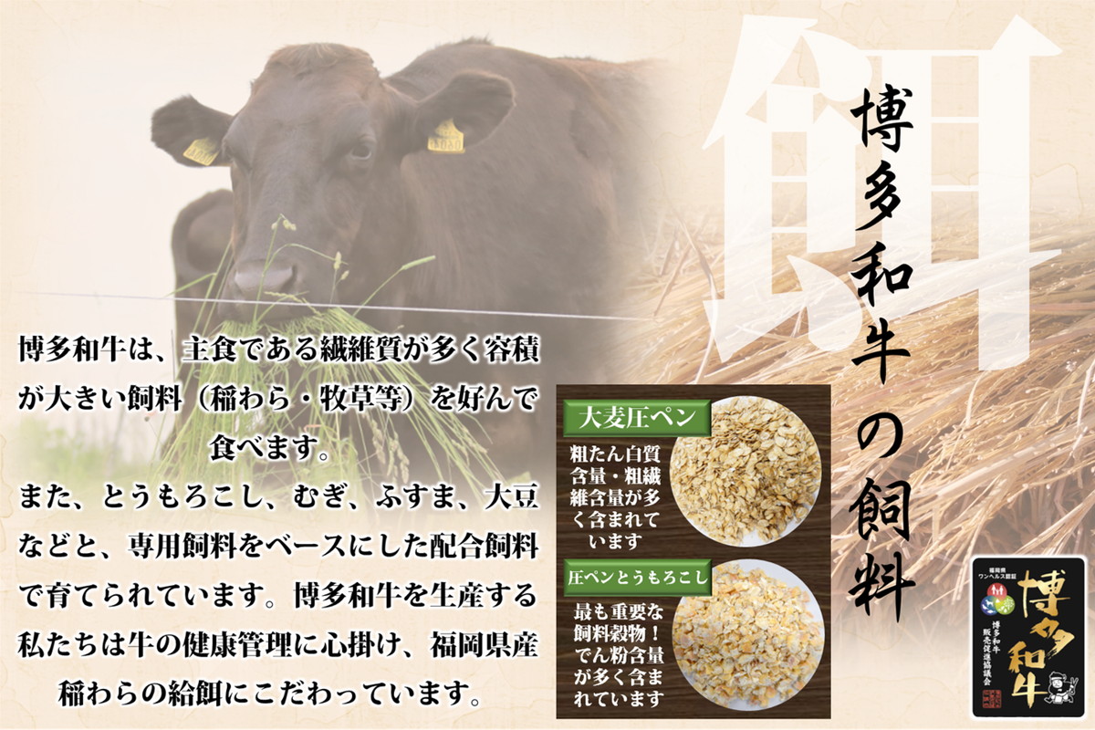 【C9-011】博多和牛 肩ロース焼肉用・スライス