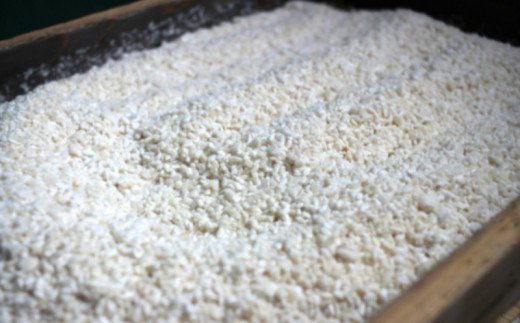 【D2-006】福岡県産米と大豆を使用した無添加生米味噌の定期お届け便【隔月定期便(計6回発送)】