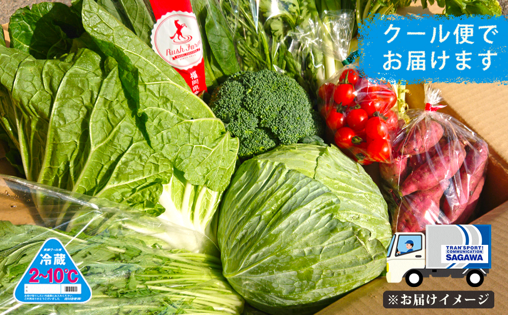 【C-101】お野菜ボックス4～7種類【6カ月定期便】