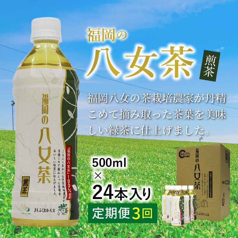 【C-097】八女茶 煎茶ペットボトル 500ml×24本 【3カ月定期便】