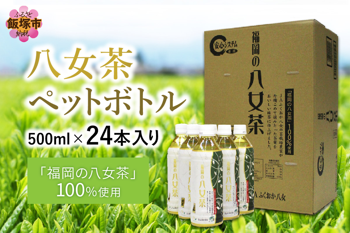 【A5-309】八女茶 煎茶ペットボトル 500ml×24本
