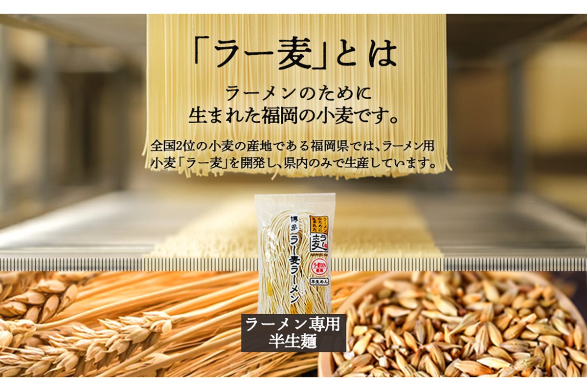 ãZ5-017ããã¹ãæåœïŒåå€ è±ãã€è³çŠã®ã©ãŒã¡ã³ 4é£ ãããã±ããã§ãå±ãïŒ