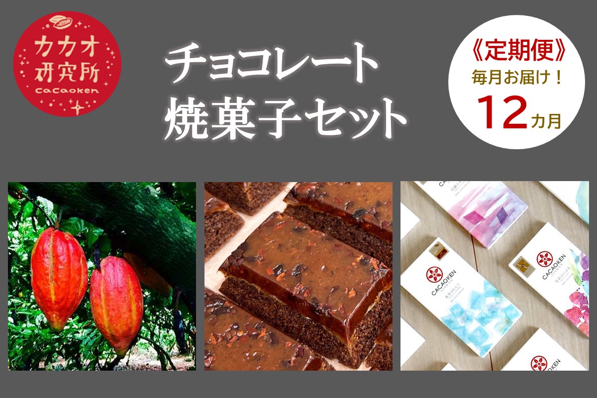 【J17-001】カカオ研究所 チョコレート菓子詰合せセット【12カ月定期便】