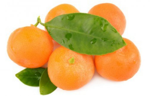 A 441 有機肥料栽培の もぎたて新鮮 温州みかん約4kg 11月発送開始分先行予約 Jalふるさと納税 Jalのマイルがたまるふるさと納税サイト