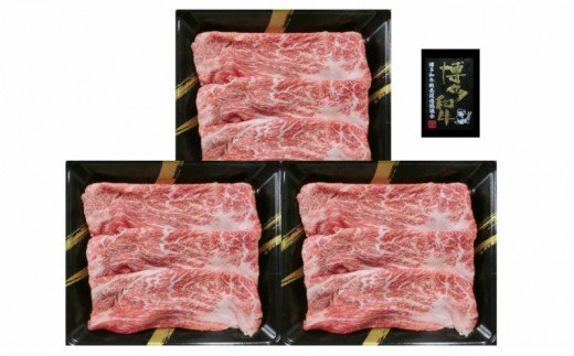 【A5-210】A4ランク 博多和牛 すき焼き肉(約500g)