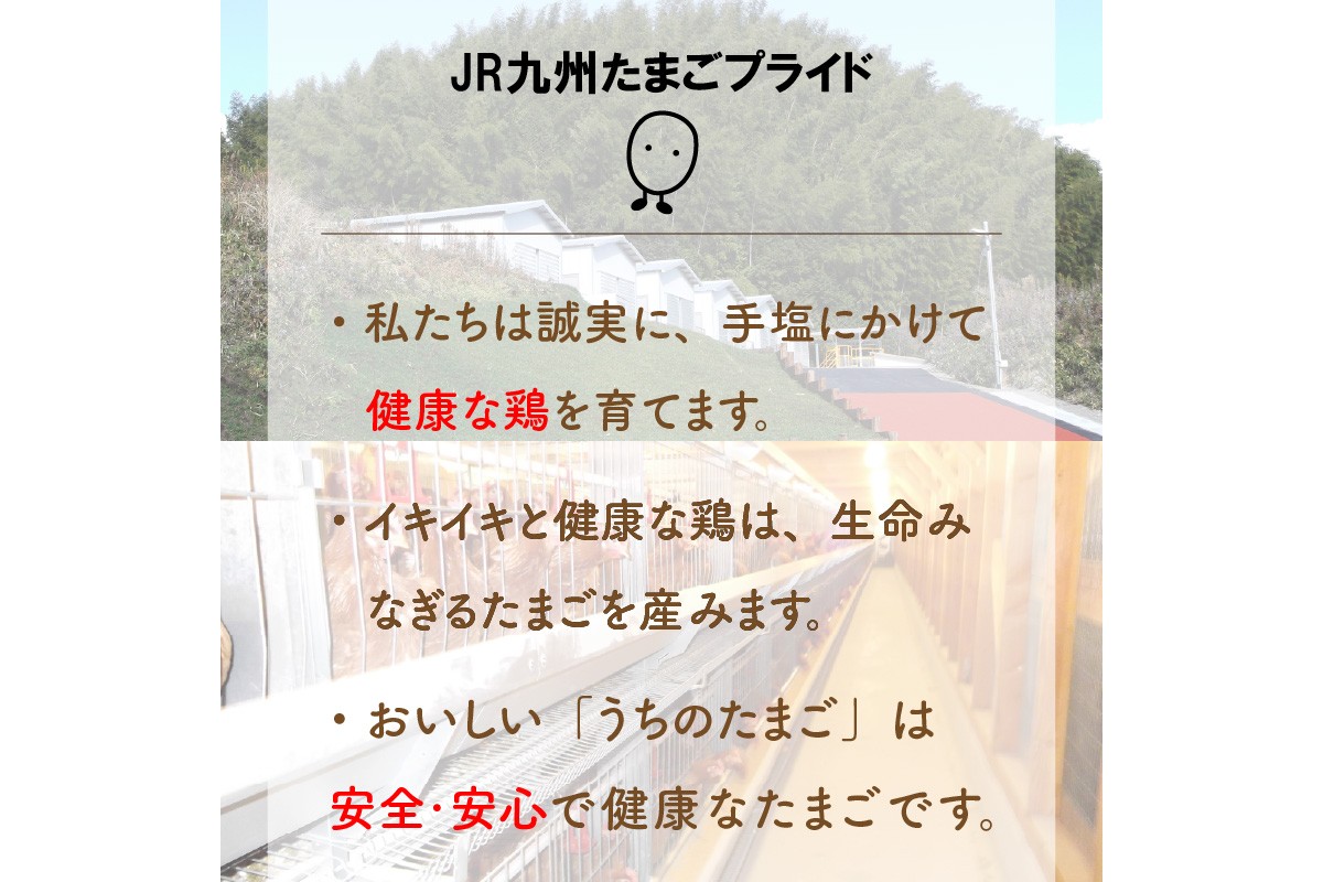 縲植5-331縲代≧縺。縺ョ縺溘∪縺 縺溘∪縺斐°縺代#鬟ッ繧サ繝繝