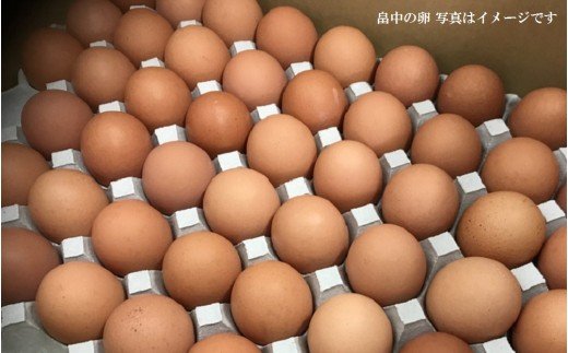 【A5-096】「畠中育雛場のたまご」卵いろいろ食べ比べセット