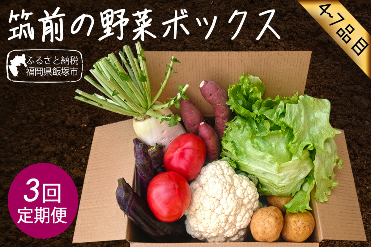 【A5-220】筑前のお野菜4～7種類【3カ月定期便】