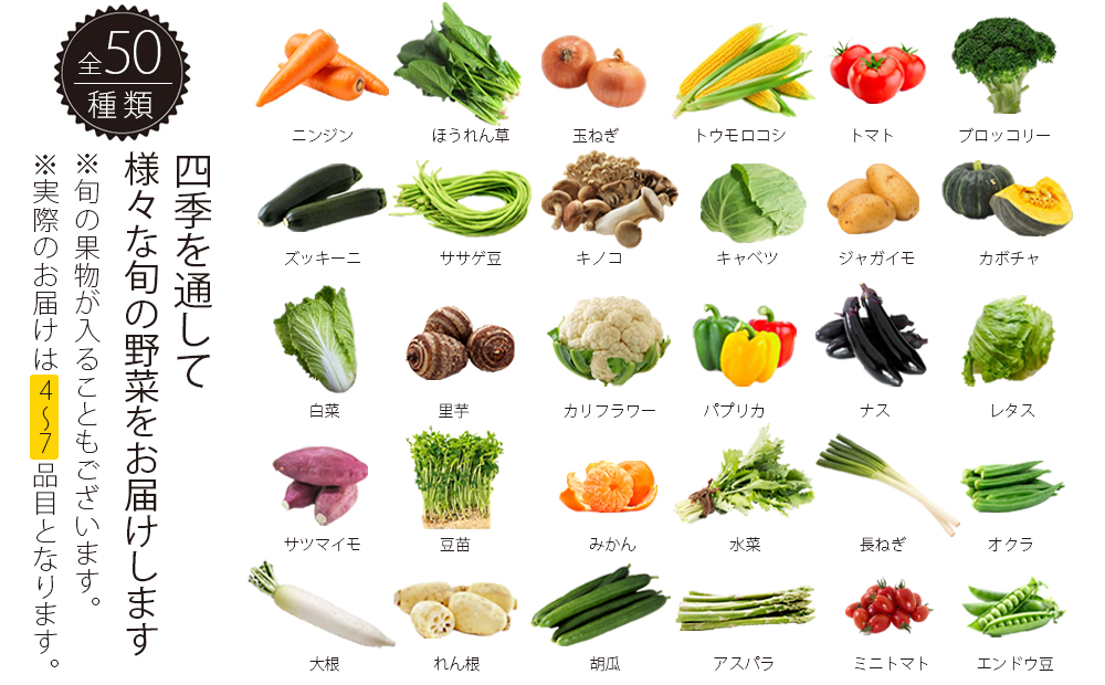 【F-022】お野菜ボックス4～7種類【12カ月定期便】