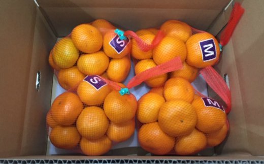 A 441 有機肥料栽培の もぎたて新鮮 温州みかん約4kg 11月発送開始分先行予約 Jalふるさと納税 Jalのマイルがたまるふるさと納税サイト