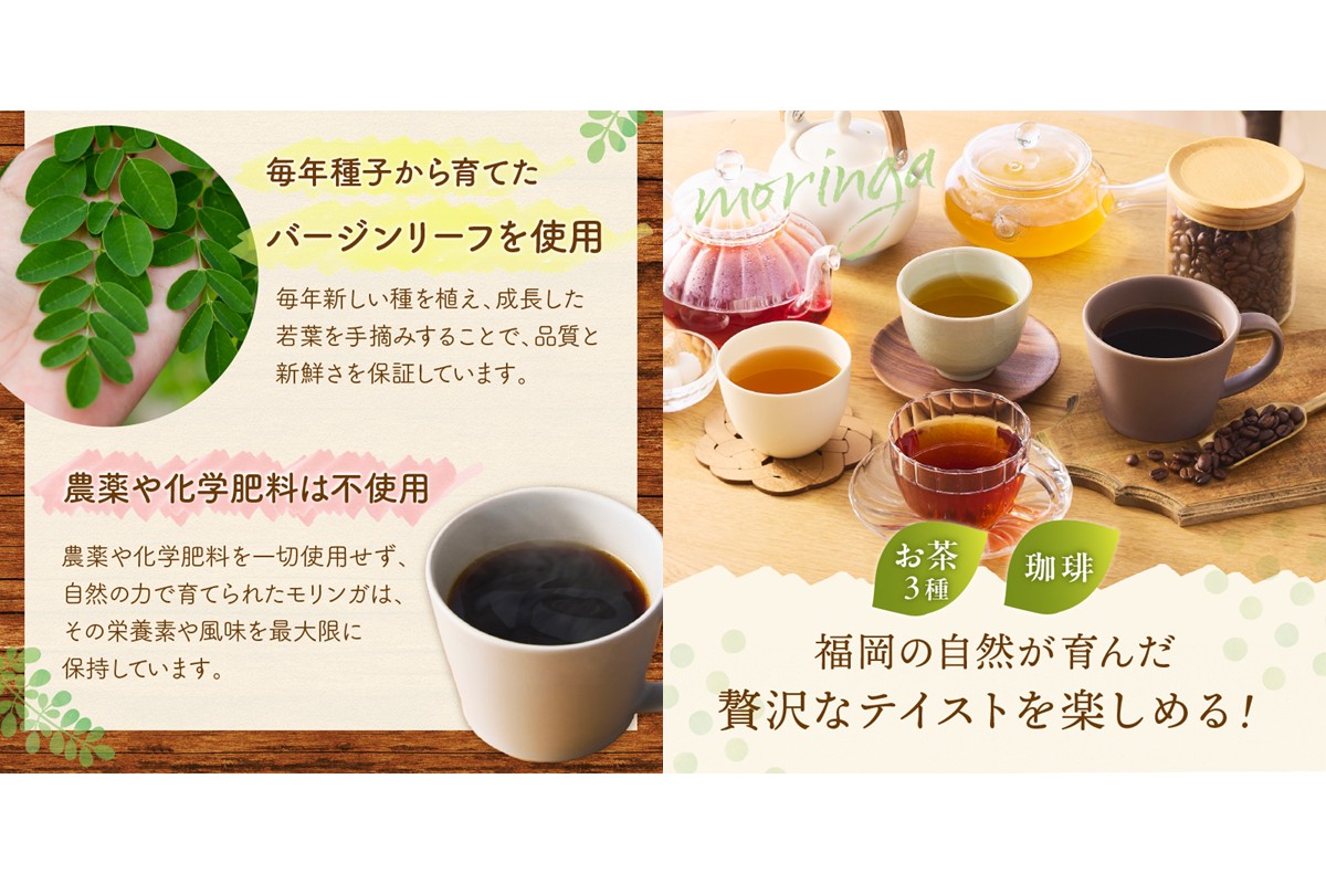 【B3-064】モリンガ珈琲ドリップタイプ・モリンガ日本茶3種