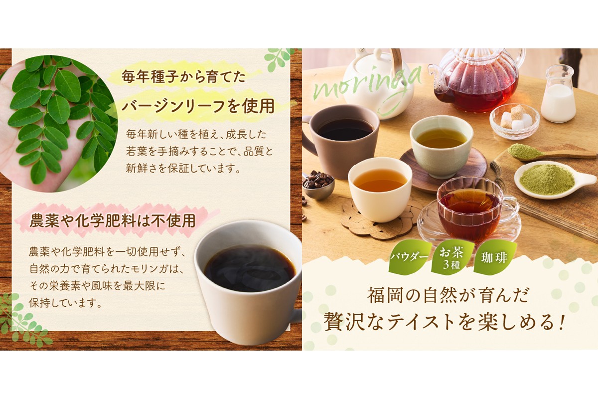 【C-145】モリンガ珈琲・オーガニック和紅茶・ほうじ茶・煎茶・モリンガパウダー